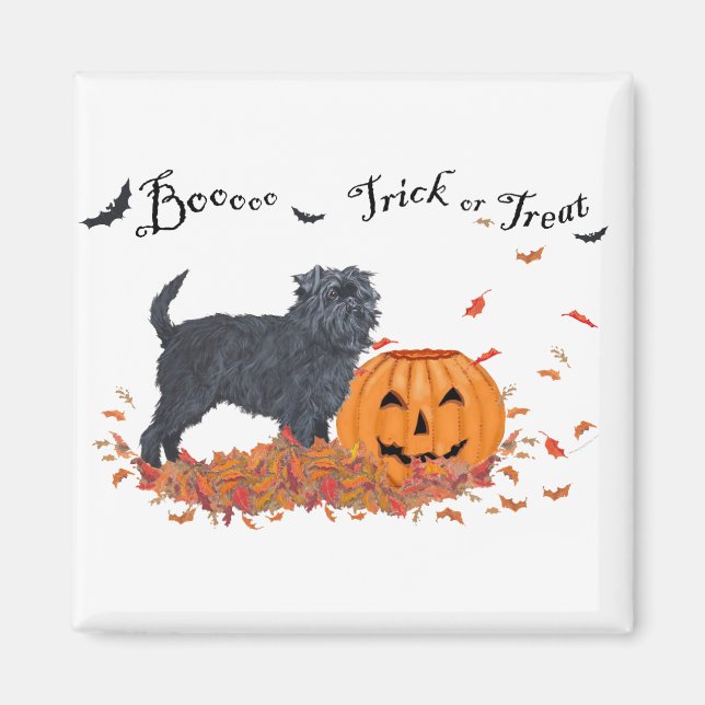 Affenpinscher Halloween Magnet (Front)