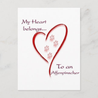 Affenpinscher Heart Belongs Postcard