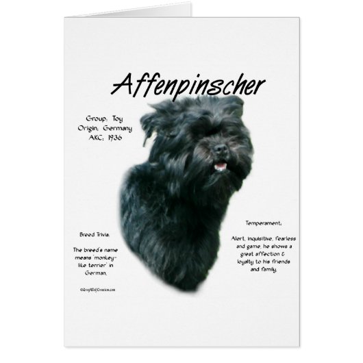 Affenpinscher History Design Cards (Front)
