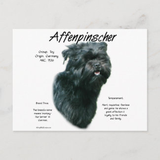 Affenpinscher History Design Postcard