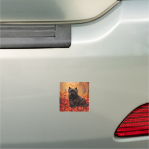 Affenpinscher in Autumn Leaves Fall Inspired  Car Magnet