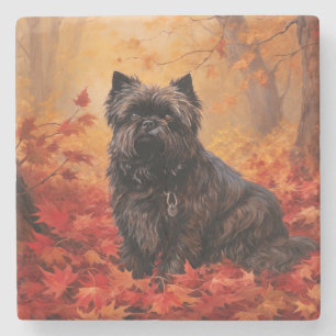 Affenpinscher in Autumn Leaves Fall Inspired  Stone Coaster