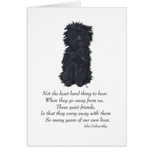 Affenpinscher Keepsake Cards