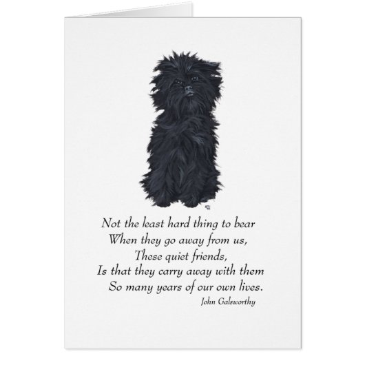 Affenpinscher Keepsake Cards (Front)