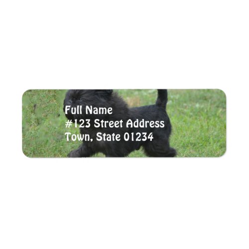 Affenpinscher Label