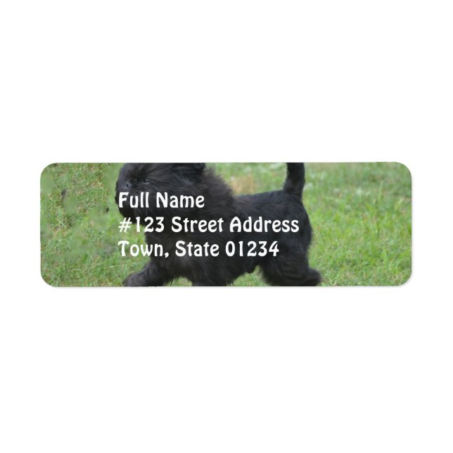 Affenpinscher Label (Front)