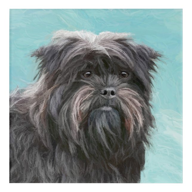 Affenpinscher Painting - Cute Original Dog Art (Front)