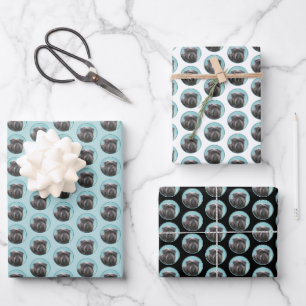 Affenpinscher Painting - Cute Original Dog Art Wrapping Paper Sheets
