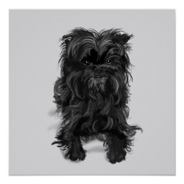 Affenpinscher Poster (Front)