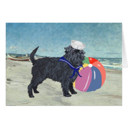 Affenpinscher Sailor (Front Horizontal)