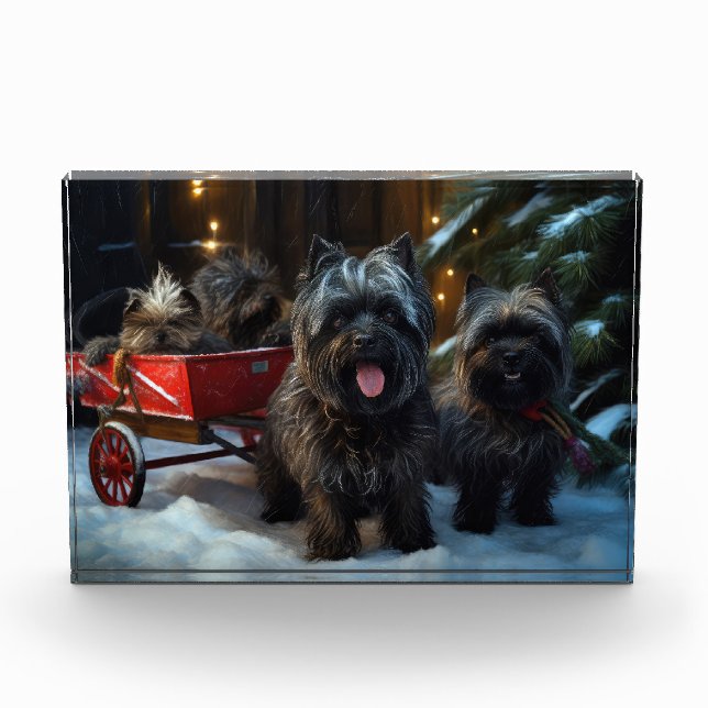 Affenpinscher Snowy Sleigh Ride Christmas Decor Photo Block (Front)