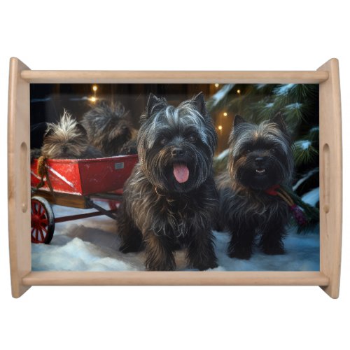 Affenpinscher Snowy Sleigh Ride Christmas Decor Serving Tray