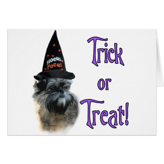 Affenpinscher Trick (Front Horizontal)