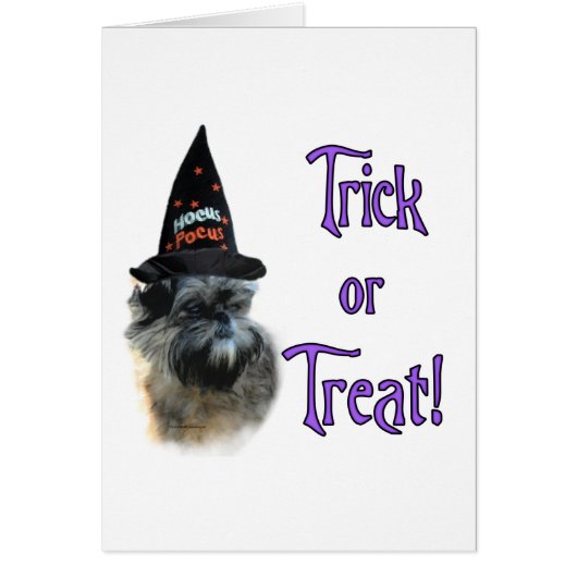Affenpinscher Trick Cards (Front)