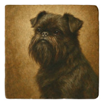 Affenpinscher