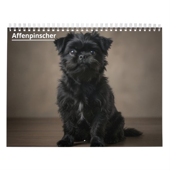 Affenpinscher Wall Calendar. Calendar (Cover)
