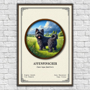 Affenpinscher Zoology Series Poster