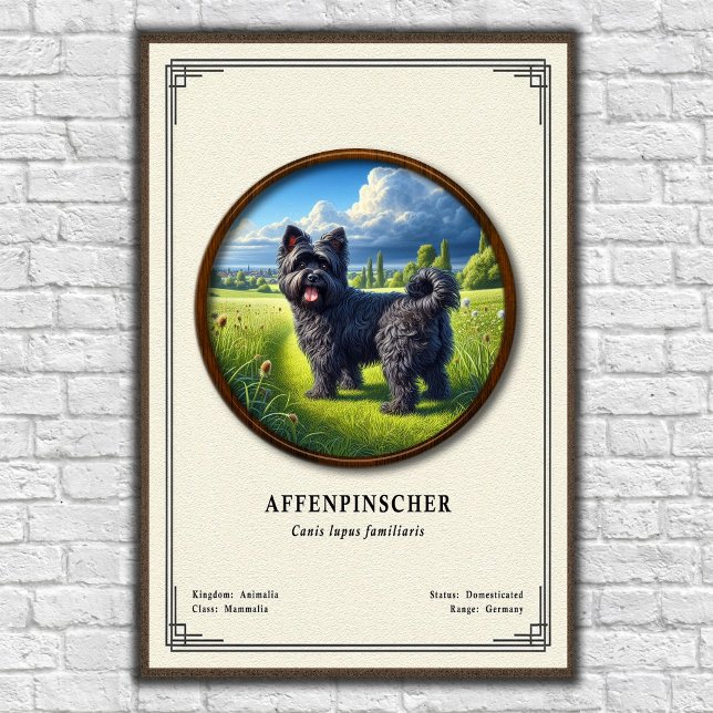 Affenpinscher Zoology Series Poster (Creator Uploaded)