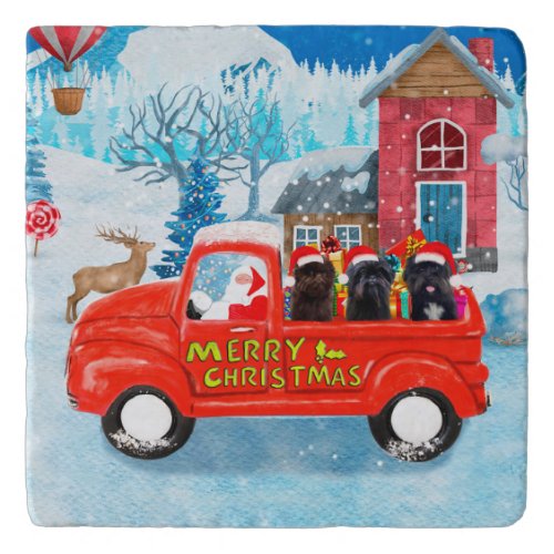 Affenpinschers Dog in Christmas Delivery Truck Trivet