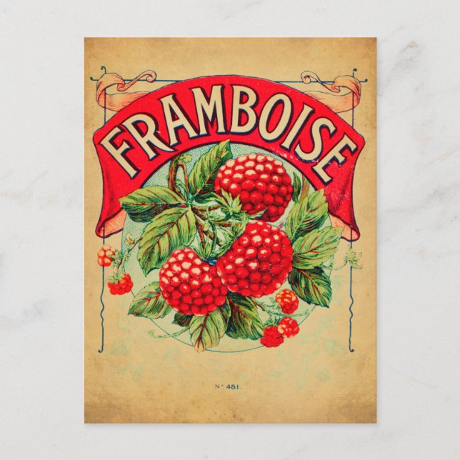 Affiche framboise, fruit, strawberry, raspberry postcard (Front)