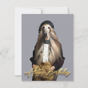 Afghan dog blond hair in trousers Happy birthday