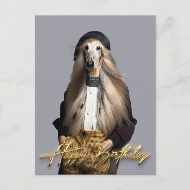 Afghan dog blond hair in trousers Happy birthday Postcard (Front)