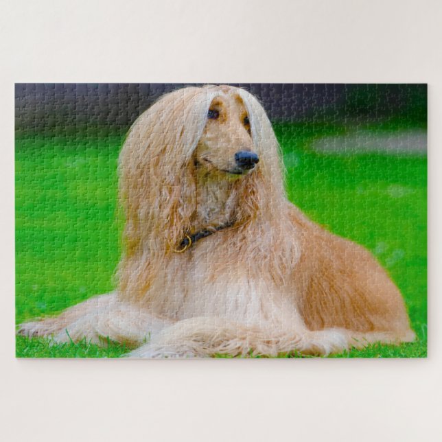 Afghan Greyhound Dog. Jigsaw Puzzle (Horizontal)