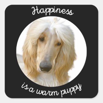 Afghan greyhound - Happiness is a warm puppy Square Sticker