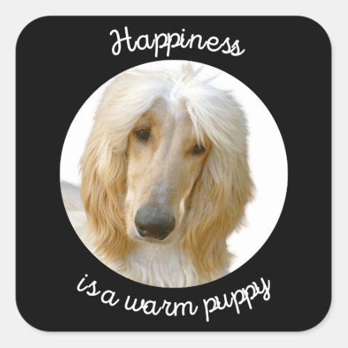 Afghan greyhound _ Happiness is a warm puppy Square Sticker