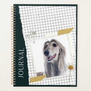 Afghan greyhound planner