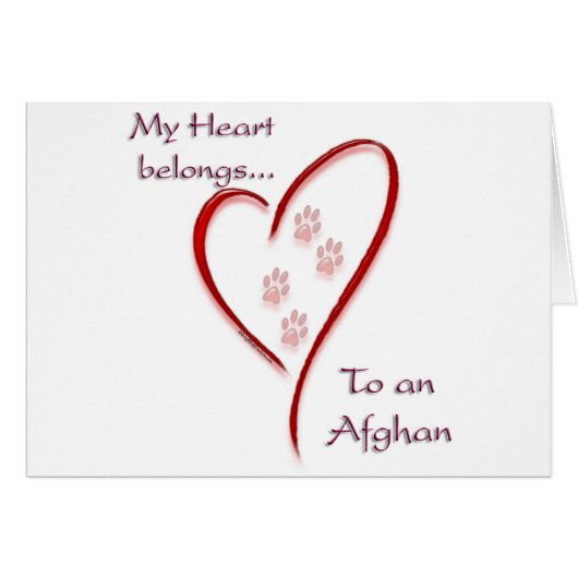Afghan Heart Belongs (Front Horizontal)