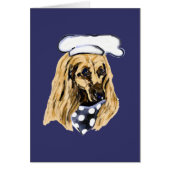 AFGHAN HOUND (Front)