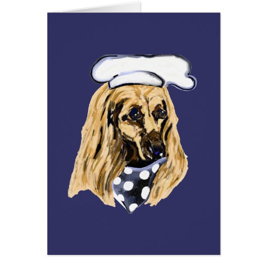 AFGHAN HOUND (Front)