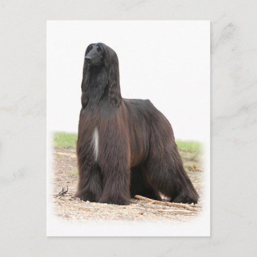 Afghan Hound 9Y151D_118 Postcard