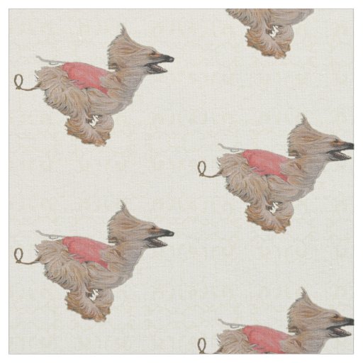 Afghan Hound Coursing Dog Ate Fabric