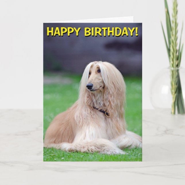 Afghan Hound customizable greetings card (Front)