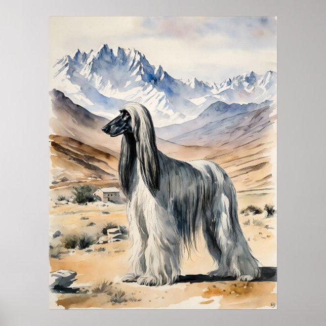 Afghan Hound - Dog Art Print (Front)