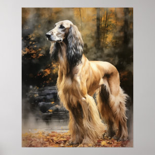 Afghan Hound Dog Art Print Poster
