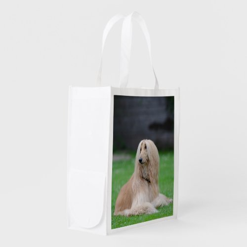 Afghan Hound dog beautiful photo  Reusable Grocery Bag