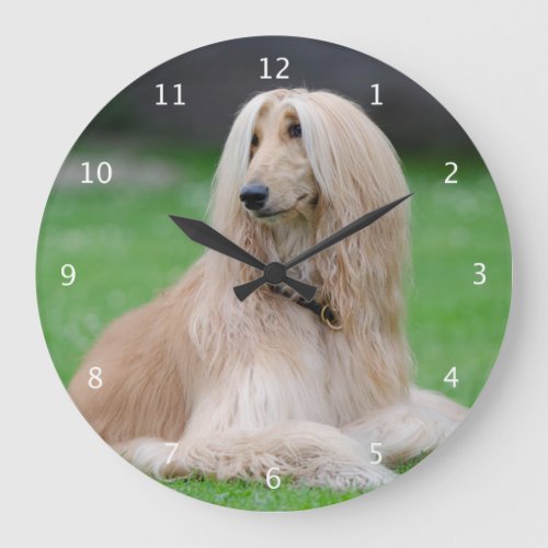 Afghan Hound dog beautiful photo wall clock