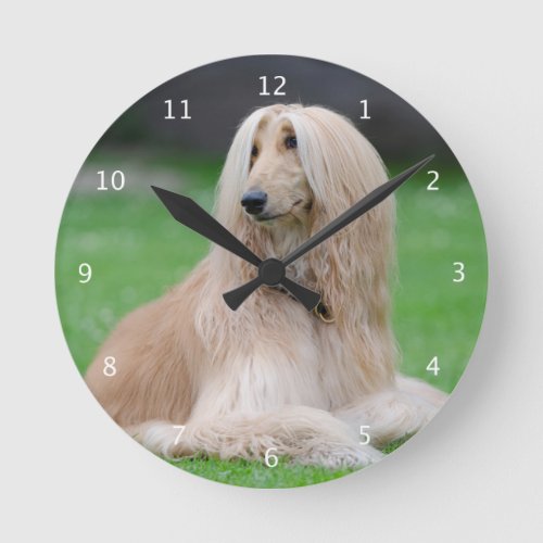 Afghan Hound dog beautiful photo wall clock