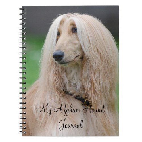 Afghan Hound dog custom Journal  Noteboook