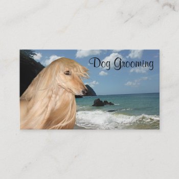 Afghan Hound Dog Grooming Business Card by deemac1 at Zazzle