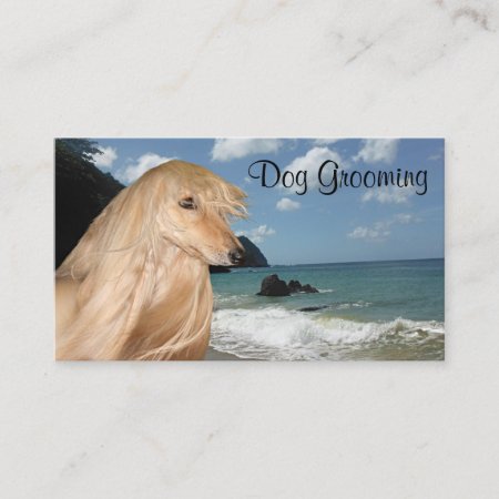 Afghan Hound Dog Grooming Business Card