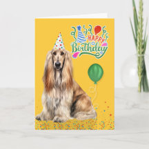 Afghan Hound Dog in a Party Hat on Yellow Birthday