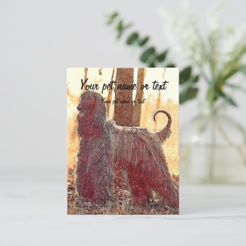 Afghan hound dog in the forest postcard