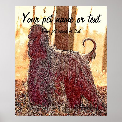 Afghan hound dog in the forest poster