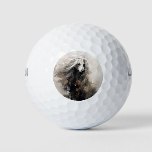 Afghan hound dog in the wind 001 _ Yacobsen Derosa Golf Balls