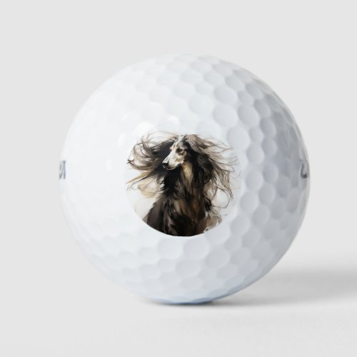 Afghan hound dog in the wind 004 _ Yacobsen Derosa Golf Balls