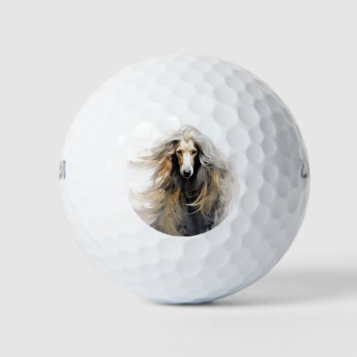 Afghan hound dog in the wind 006 _ Yacobsen Derosa Golf Balls